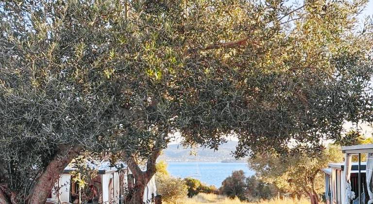 StayAdriatic Mobile Homes Olive in Biograd na Moru