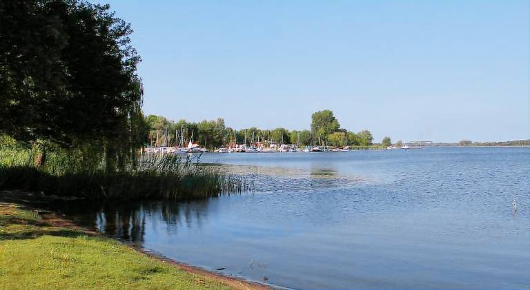 foto2