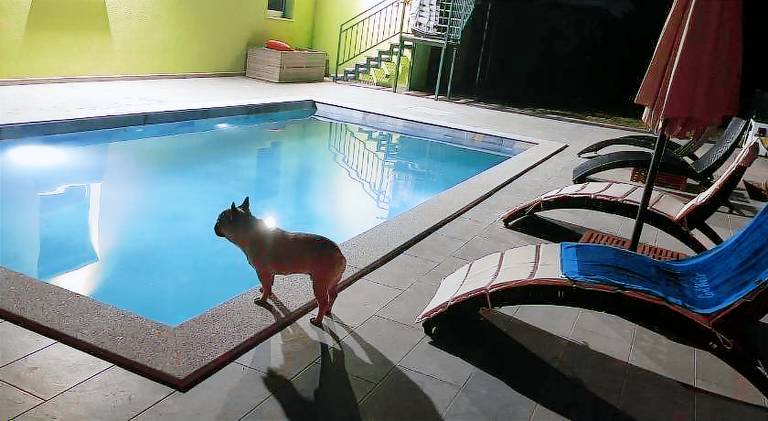 Apartment with pool — photo 5