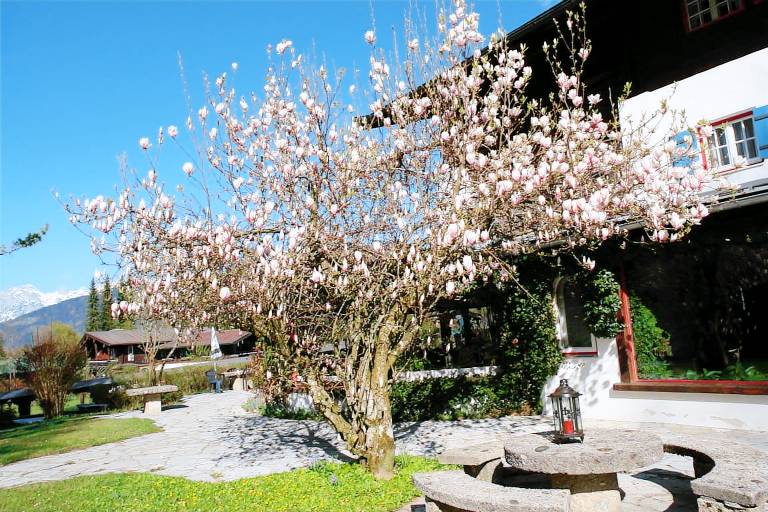 Stoll's Hotel Alpina OHG (DE Schönau) - Stoll Gerhard - 37188 — photo 2