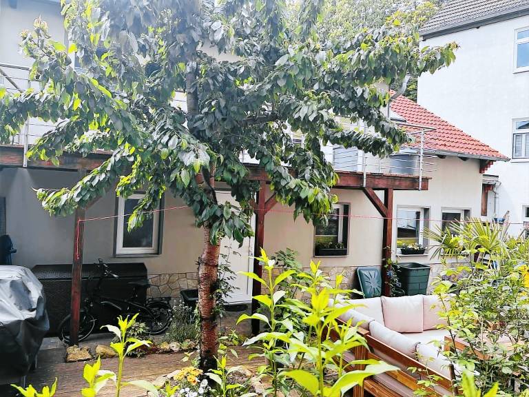 House  Jena