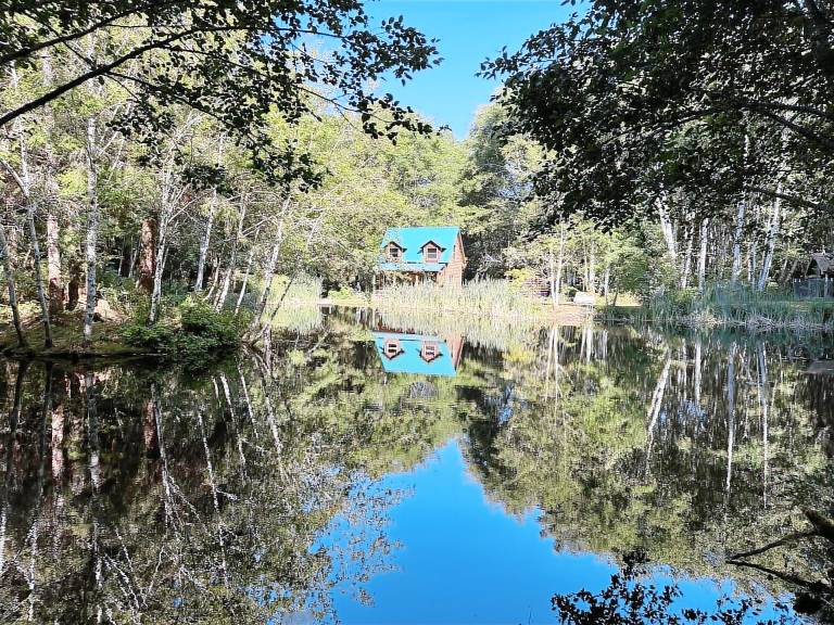 Cabin Twin