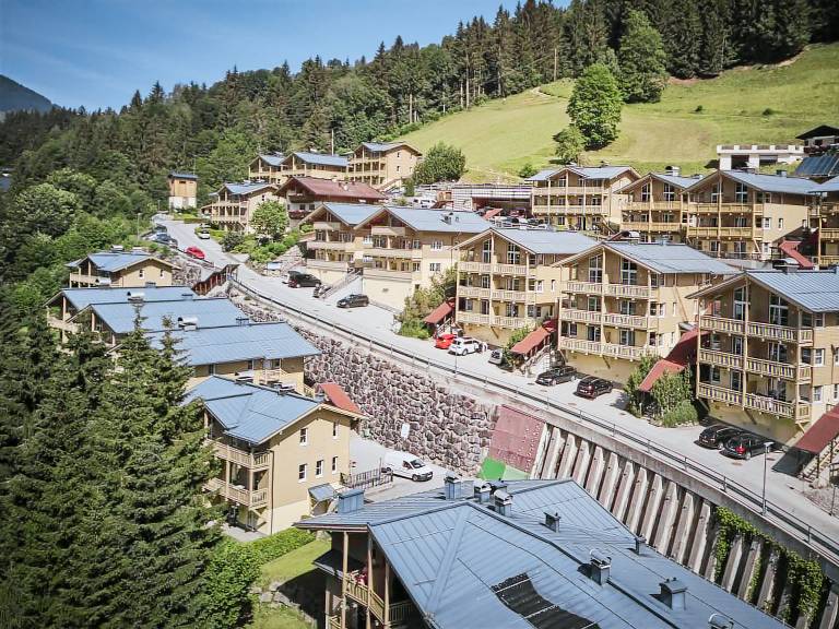 Ferienhaus mit Hund in Viehhofen für max. 8 Gäste