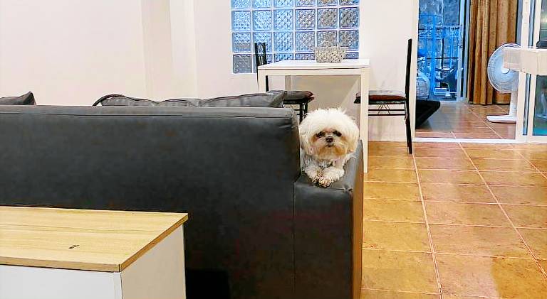 Charming apartment | Next to the beach | Pet-friendly — photo 3