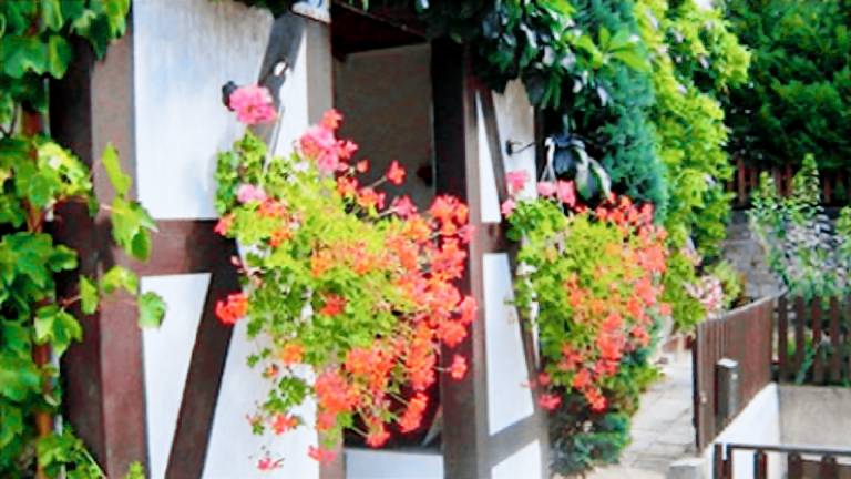 Ferienwohnung  Loschwitz