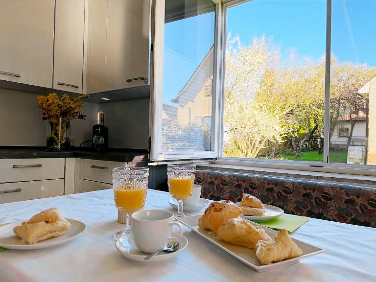 Apartment Sieglinde with Private Terrace in Bad Dürrheim Öfingen — photo 5