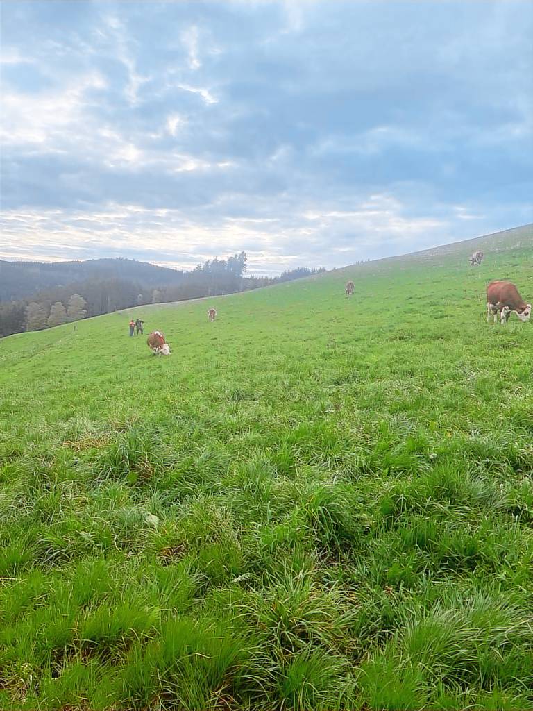 Holiday Home Ferienhaus am Kapellenhof with Shared Terrace, Shared Garden and Wi-Fi — photo 4