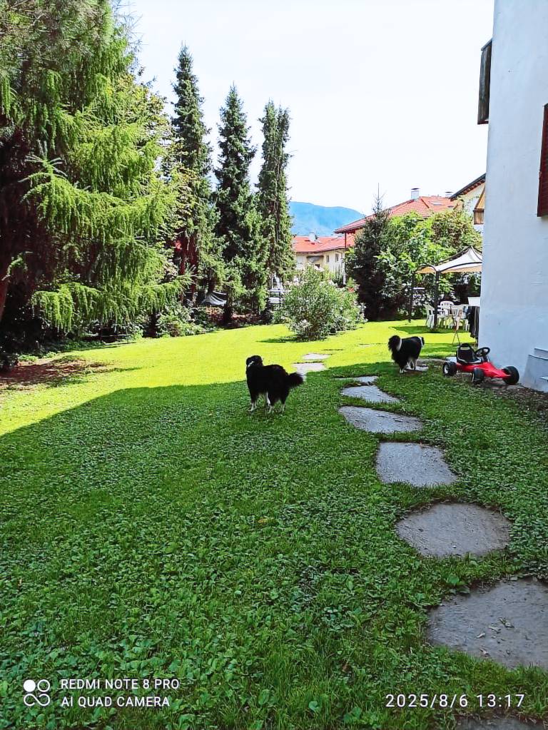Holiday Apartment 'Annabelle' with Shared Pool, Shared Garden and Wi-Fi in Lana