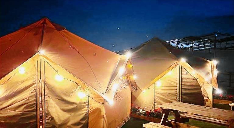 Tent with garden & pool | Pets allowed — photo 4