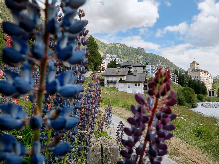Ferienwohnung Pontresina