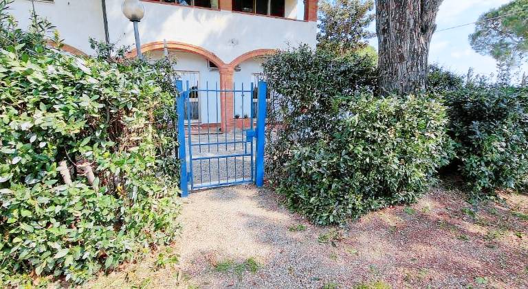 Pleasant holiday apartment | Dogs allowed — photo 5