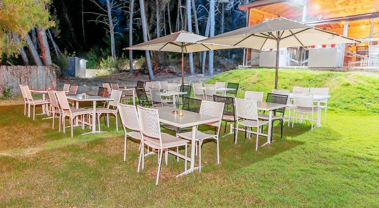 Pleasant serviced apartment with patio & yard | Pets allowed — photo 4