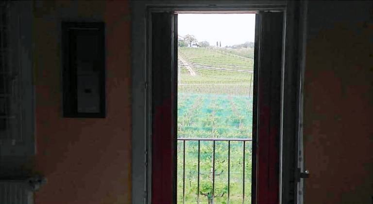 B&B Zanin di Zanin Mauro — photo 3