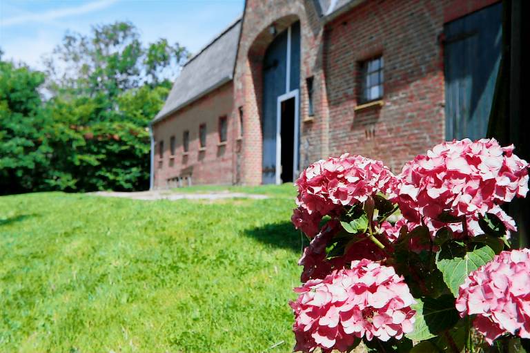 Ferienwohnung  Tetenbüll