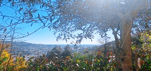 Chambre d'hôtes  La Colle-sur-Loup