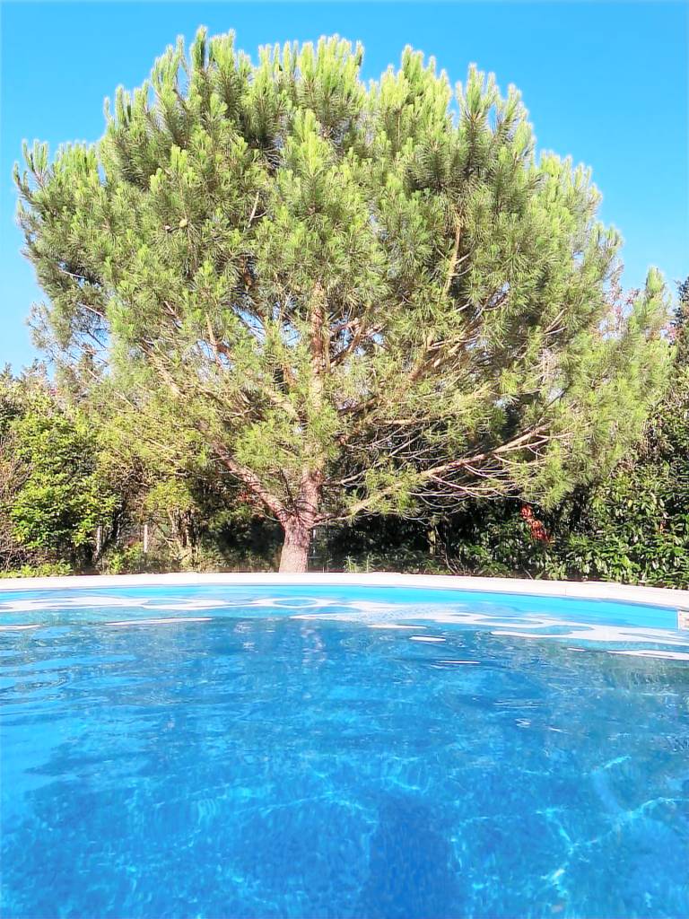 Appartement Pérouges