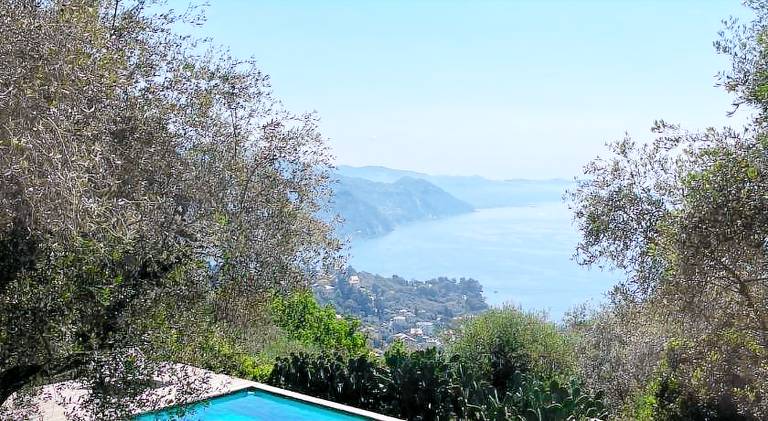 "Ulivi nel Blu" Country House With Pool in Santa Margherita Ligure