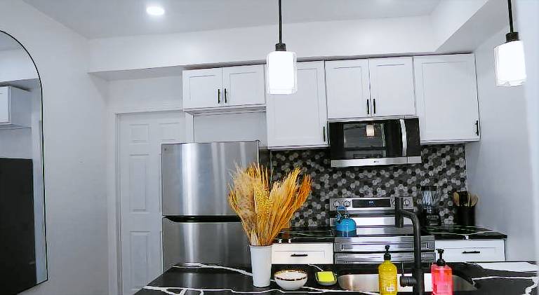 Prime Oasis, 1 mi to Temple U, Washer and Dryer, Free Snacks — photo 4