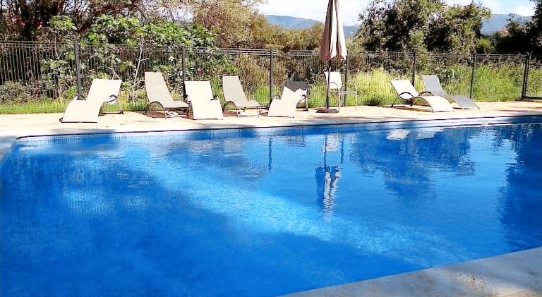 Wonderful vacation home with pool | Pets are welcome — photo 3