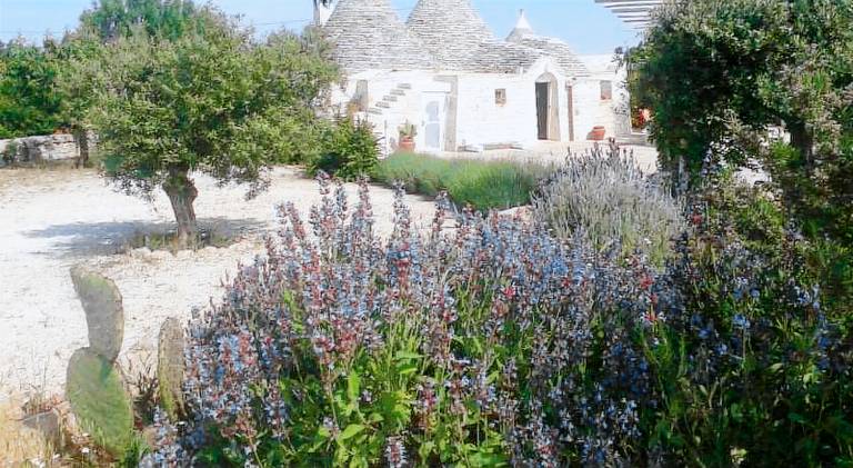 Vacation home with 4 rooms for 7 persons in Franca
