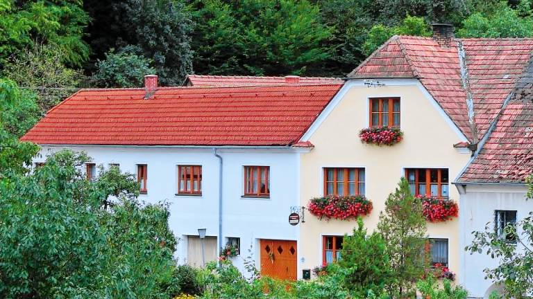 Ferienwohnung Spitz