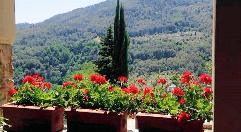 Farm with terrace & garden | Dogs allowed — photo 4