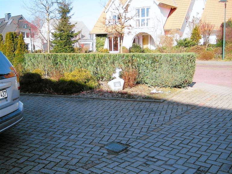 foto3