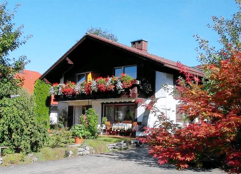 foto1