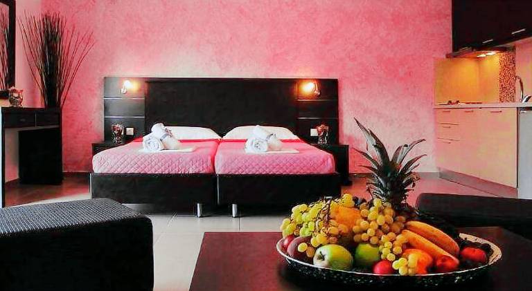 Beautiful serviced apartment with terrace & garden | Dogs allowed in Parga