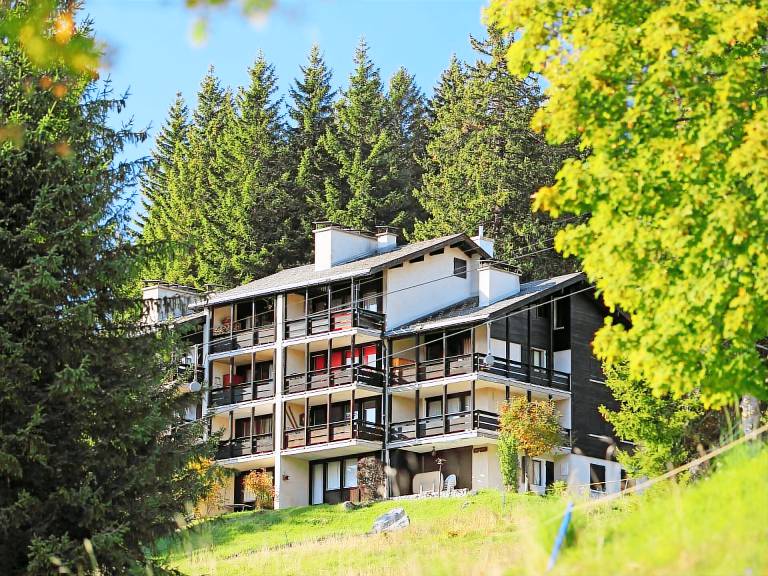Ferienwohnung in Gryon für max. 4 Gäste
