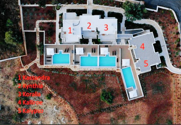 foto2