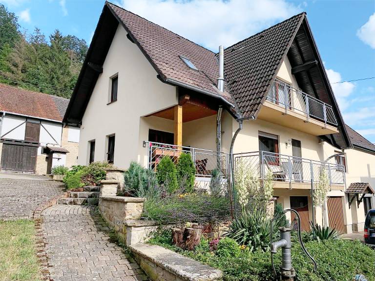 foto1