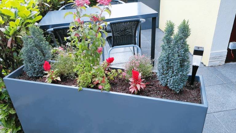 Fully equipped gite with yard & barbecue | City view | Dogs allowed — photo 4