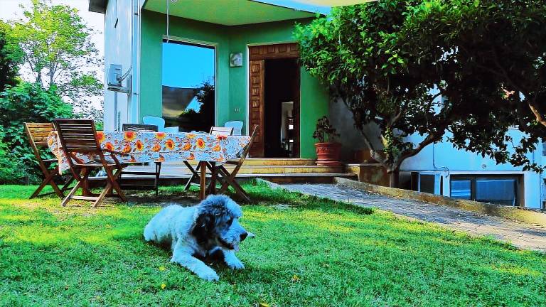 Villa with grill & garden | Garden view — photo 4