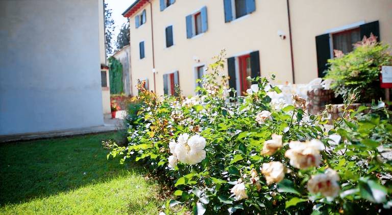 Farm with BBQ, private pool & terrace in Castelnuovo del Garda
