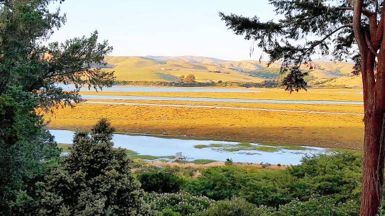 House Point Reyes Station