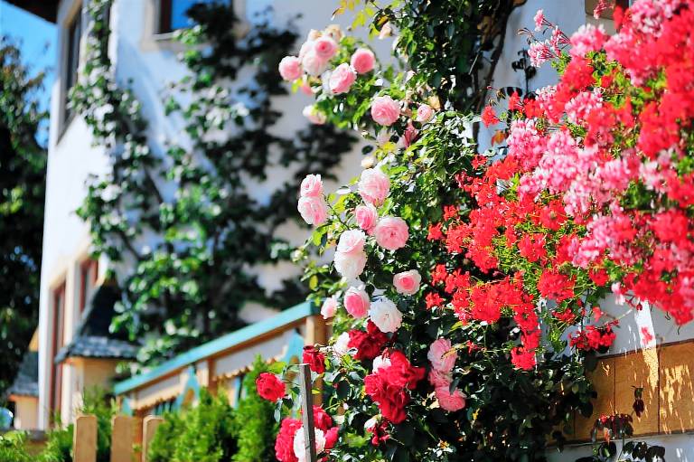 Holiday apartment with barbeque & garden — photo 3