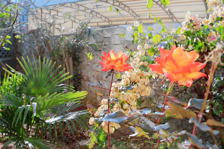 Wonderful holiday apartment with terrace & barbeque | Beach nearby | Pets are welcome — photo 2