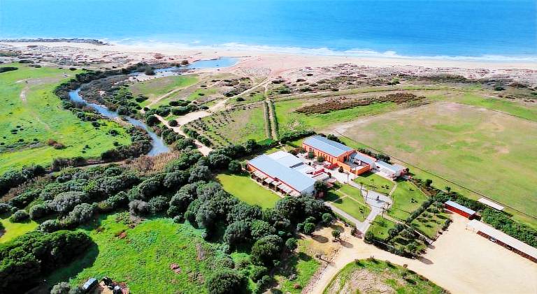 Rental apartment with yard & terrace in Vejer de la Frontera