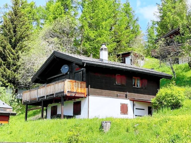 Ferienhaus in Bellwald, Blitzingen für max. 8 Gäste