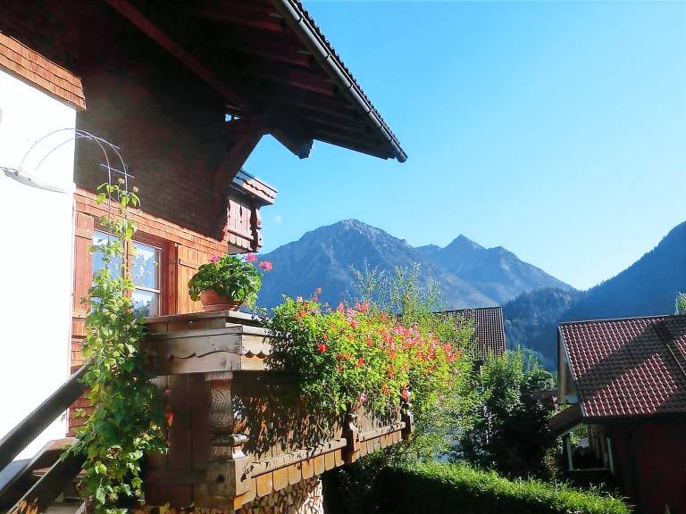 foto1
