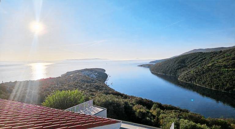 Villa with pool | Pet-friendly in Labin