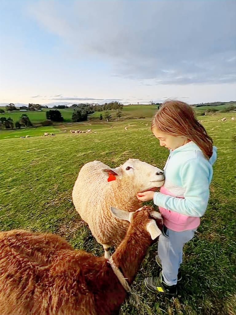 Farmhouse  Warragul