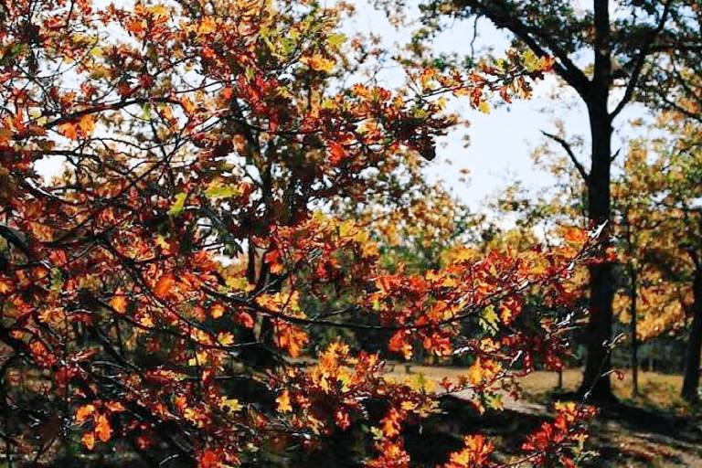 foto7