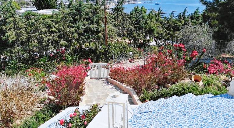 Bouganville Studios Stegna — photo 2