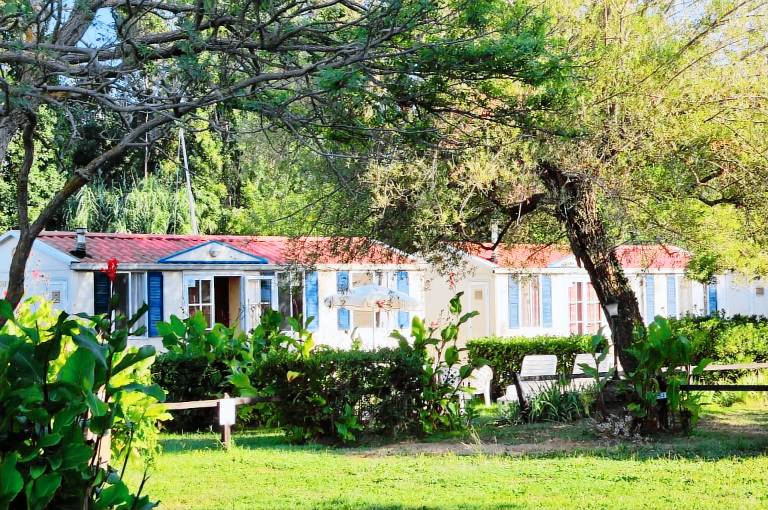Camper/Roulotte Trevignano Romano