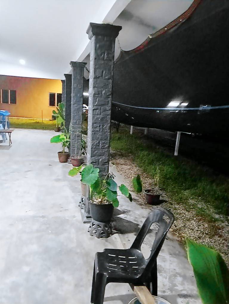 foto5