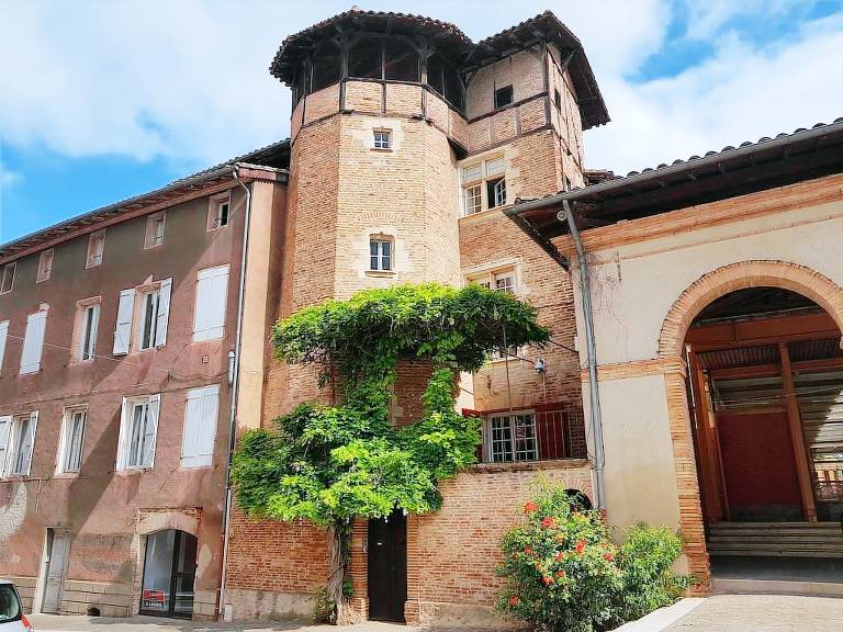 Maison de vacances Gaillac