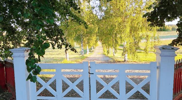 Hofra Bed & Breakfast — photo 4