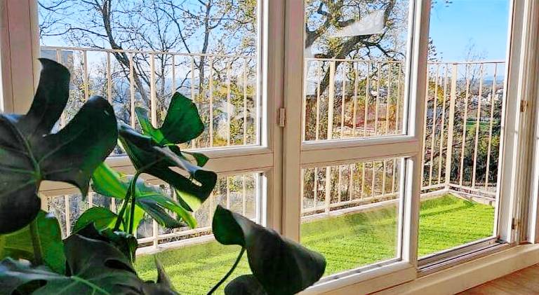 Lovely holiday apartment | Dogs allowed — photo 4